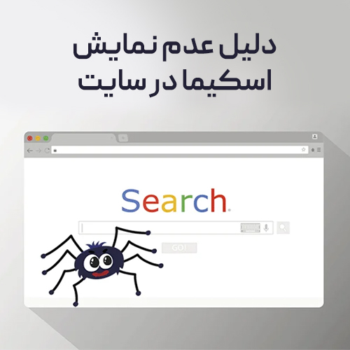 دلیل عدم نمایش اسکیمای سایت من چیست؟